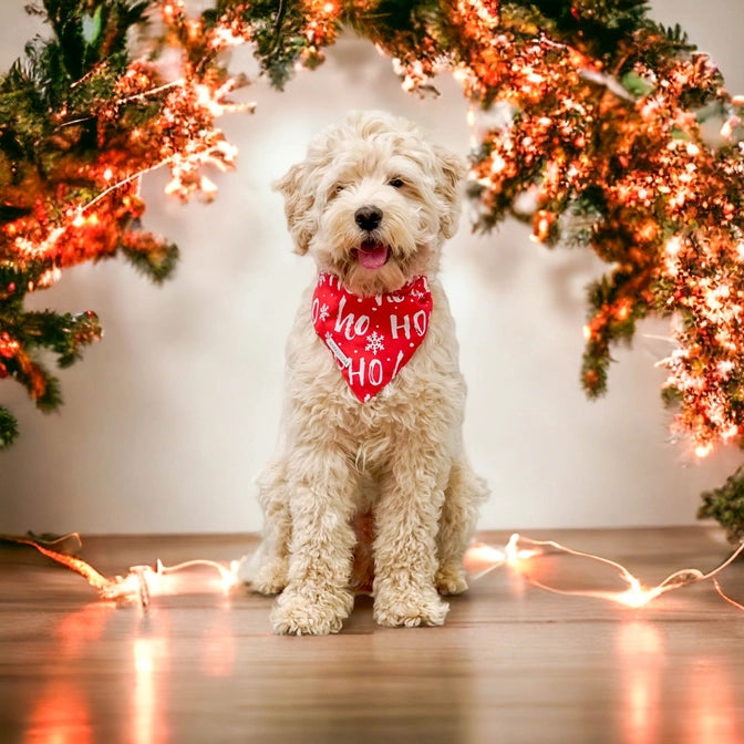 Merry Woofmas Dog Bandana