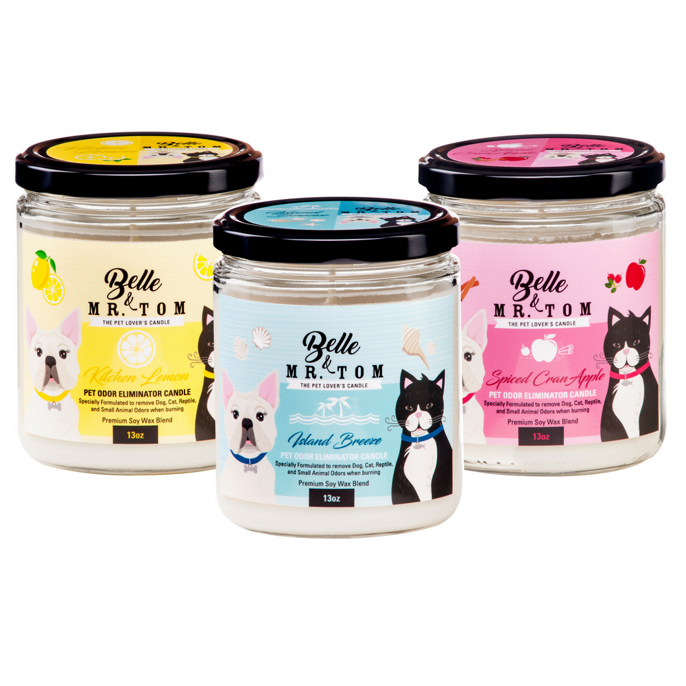 *3 Pack: Pet Odor Eliminator Candles (13oz)