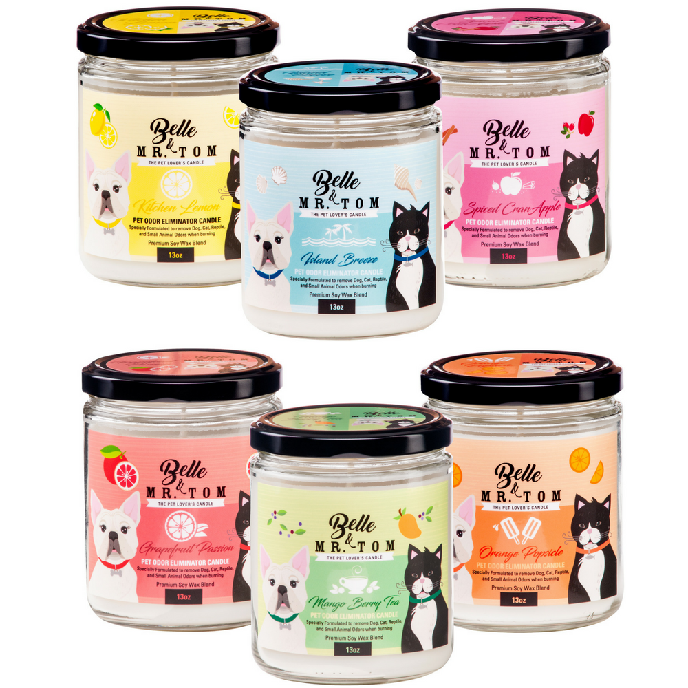 A set of 6 Belle & Mr. Tom Pet Odor Eliminator Candles-6 scents Lemon, Island Breeze, Spiced Cransapple, Grapefruit, Mango Berry Tea, Orange