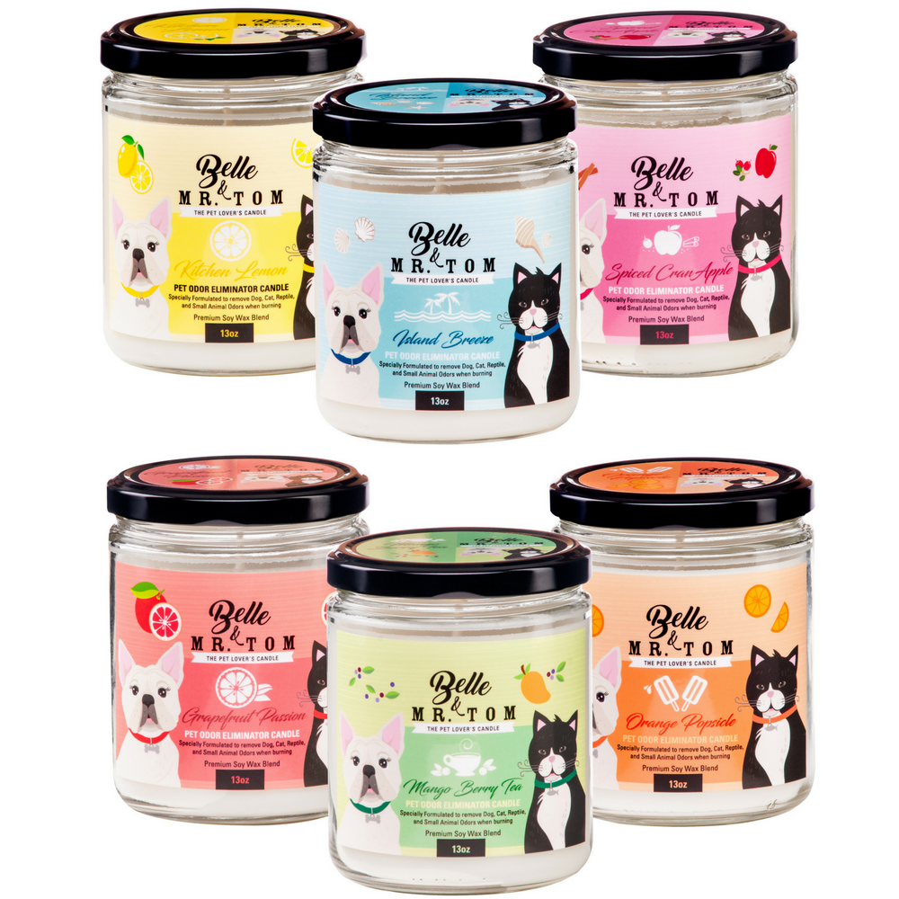 *6 Pack: Pet Odor Eliminator Candles (13oz)