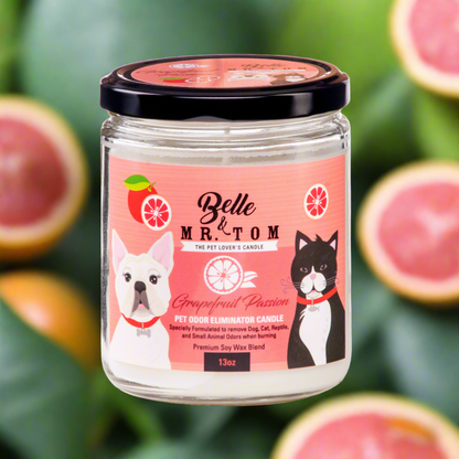 Belle & Mr. Tom Grapefruit Passion Pet Odor Eliminator Candle