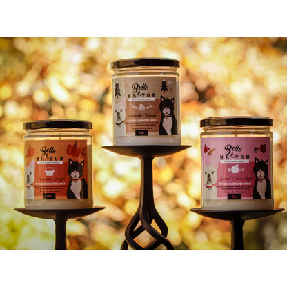 Cozy Holiday Candle Gift Set - 3 Warm & Festive Pet Odor Eliminator Candles | Pumpkin Souffle, Spiced CranApple & Into the Woods