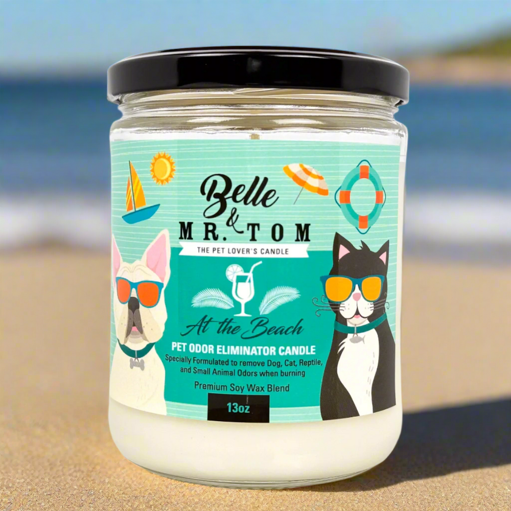 *At the Beach
