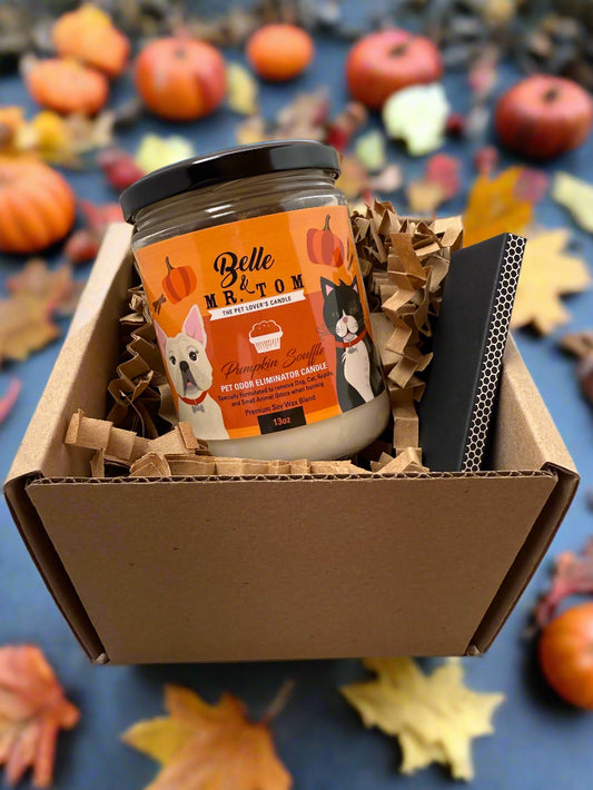 Belle & Mr. Tom Pet Candle with a matchbox inside a gift box