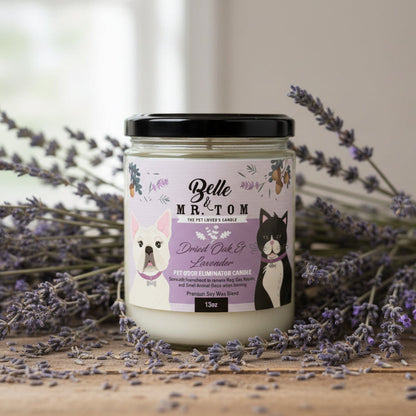 Jar of Belle & Mr. Tom candle with a label featuring illustrations of a dog and a cat.