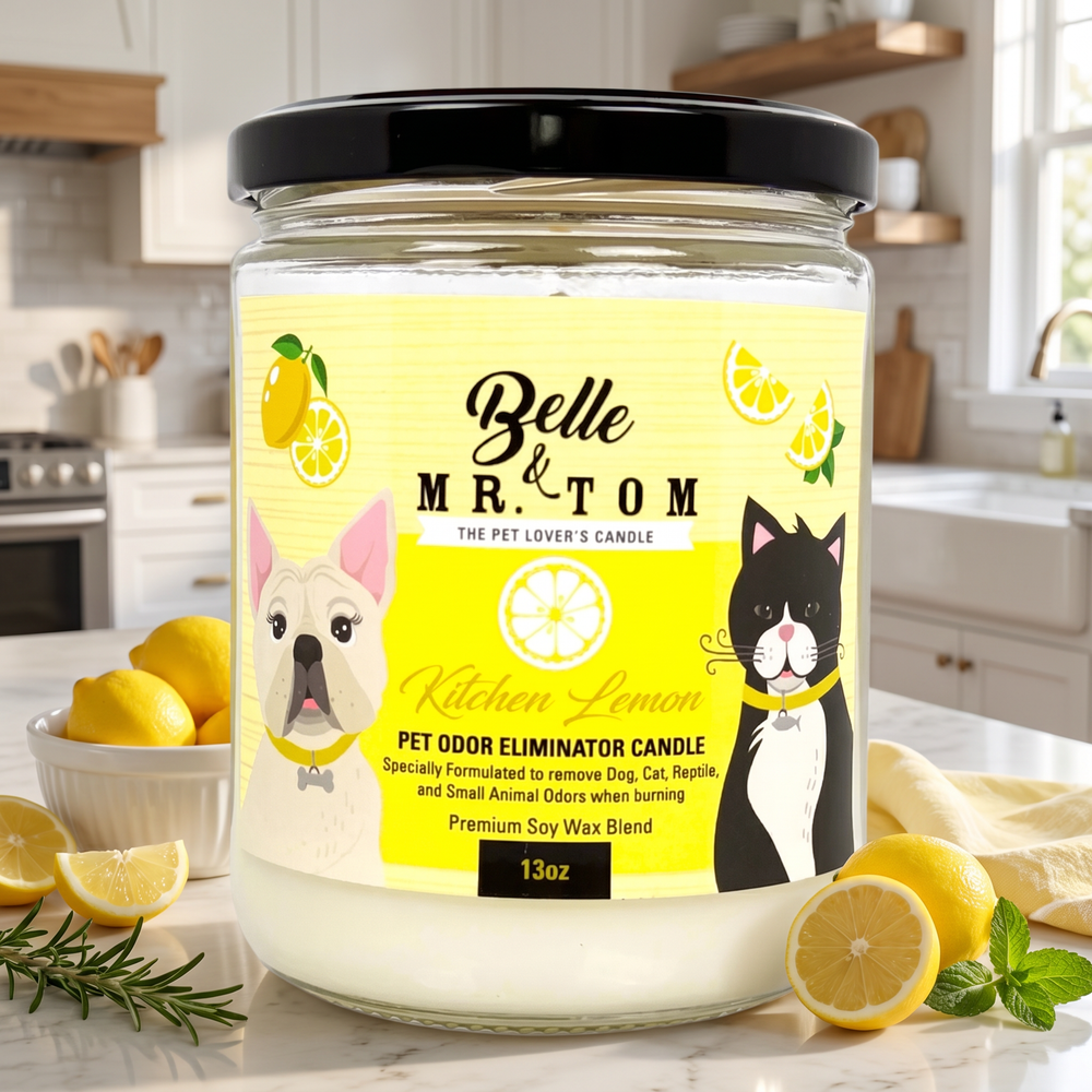 Kitchen Lemon Pet Odor Eliminator Candle - Lemon Citrus Floral Scented 13oz Soy Blend Candle for Dog & Cat Owners