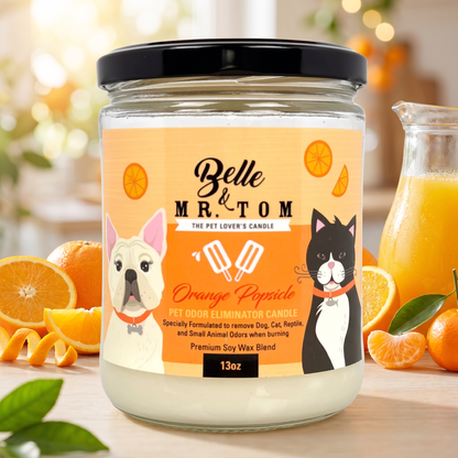 Orange Popsicle Pet Odor Eliminator Candle - Citrus Tropical Fruit Scented 13oz Soy Blend Candle for Dog & Cat Owners