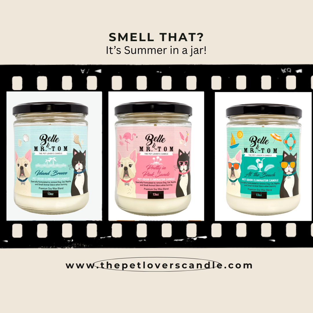 Beach Candle Gift Set - 3 Tropical & Coastal Pet Odor Eliminator Candles | Island Breeze, Pretty in Pink Sands & At the Beach