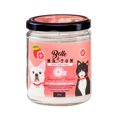 Belle & Mr. Tom Grapefruit Passion Pet Odor Eliminator Candle on white background