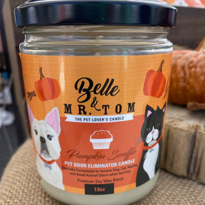 Pumpkin Souffle: Pet Odor Eliminator Candle (13oz)