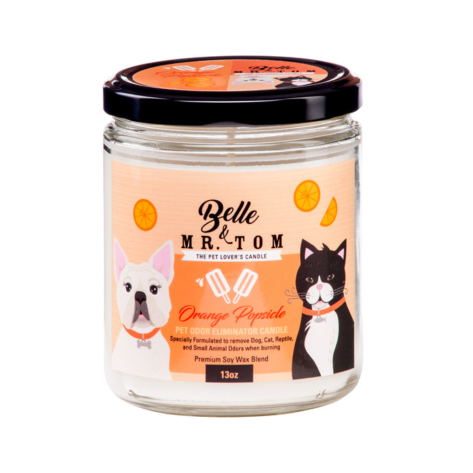 Orange Popsicle: Pet Odor Eliminator Candle (13oz)